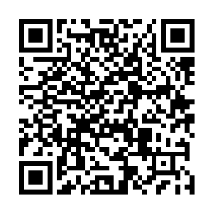 我们让黑森林主人同意我们从森林中走已经付出很大代价二维码生成