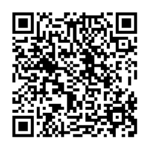 我们身后那之前没有被斩杀的僵尸这会儿已经也是嗅着我们的气味追了进来二维码生成