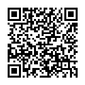 我们过来只是为了追杀我们黑暗评议会的敌人而已二维码生成