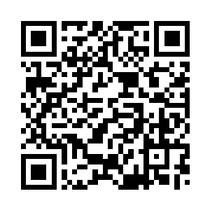 我们还捡了好多世界树叶子回来呢二维码生成