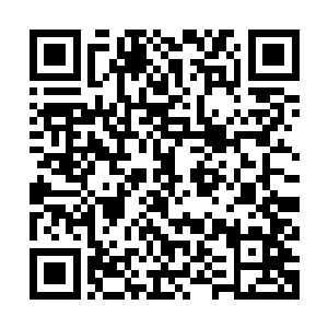 我们还是来研究一下如何针对项家和二流家族联盟的行动方案吧二维码生成
