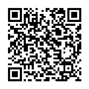 我们还要搜集一下新王族战队最近的比赛视频加以研究二维码生成