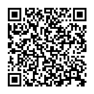 我们还要靠着这个监督委员会为我们未来建立一个法治国家奠定一定的舆论基础二维码生成