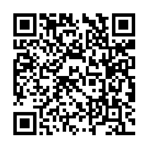 我们这一支队伍从武器到设备都是没有任何编号的二维码生成