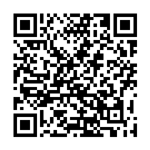 我们这个星球上的每一种哺乳动物都有一种适应环境变化二维码生成