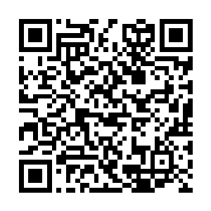 我们这个组织里的人大部分都是从情报机关退休的二维码生成