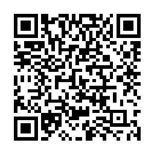 我们这些人在其他学生看来只是毛毛身边的人而已二维码生成