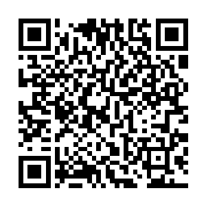 我们这些人都是将某一种法则或者某一种能力修炼到了极致二维码生成