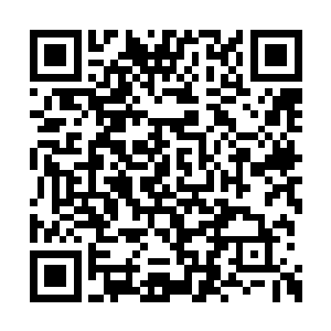 我们这些县委常委的智商还不如他一个毛头小子二维码生成