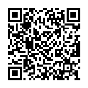 我们这些境界高的灵魂在沉睡中本能地相互吞噬二维码生成