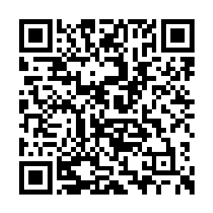 我们这些师团都没有装备口径100毫米以上的大炮二维码生成