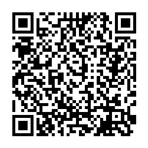 我们这些没有练过功夫的夜族打起架来其实也和普通人打架斗殴差不多二维码生成