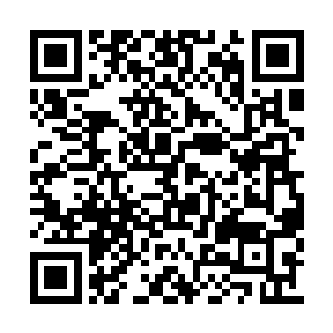 我们这位于天姥峰内的大圣市并没有被他们发现二维码生成