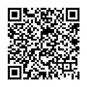 我们这几个老家伙怕是等不到进阶传说之中仙人的级别了二维码生成