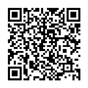 我们这就回秦皇国把这里的事情禀告给四位尊敬的护国国师二维码生成