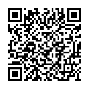 我们这样你害我我害你的到底什么时候才是个头二维码生成