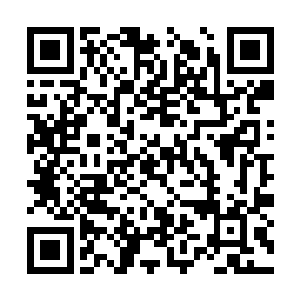 我们这样的人原本就没打算像乌龟一样活三五百年二维码生成