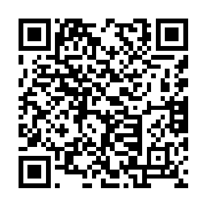 我们这次的成功一方面是建立在我们许家的实力上二维码生成