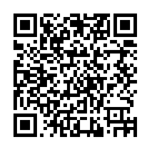 我们这的别墅每一栋都有专属的装修设计图提供给买家的二维码生成