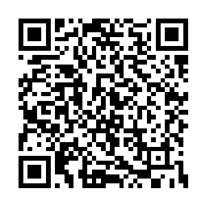 我们这边别说是白天就是晚上也要等着你的消息二维码生成