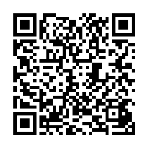 我们这里的建筑项目和装修都经过消防部门审批和验收二维码生成