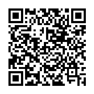 我们这里的所有人恐怕都没有这个资格看他的材料二维码生成