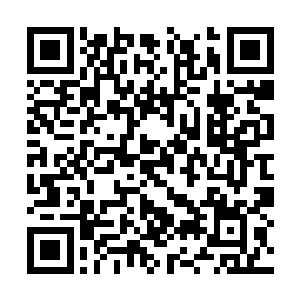 我们进入到机械废城过后只有两个小时的活动时间二维码生成