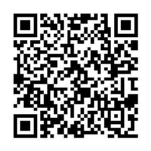 我们连个人就这么等到了中午他们学校快要放学二维码生成