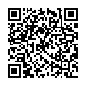 我们那儿的人都说我们必须站出来保卫自己的家园二维码生成