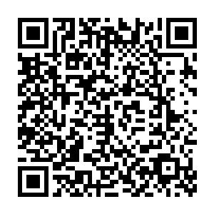 我们那是为了祭奠当年带领我们所有妖族进入失落岛而专门修建的二维码生成