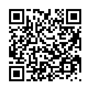 我们都不知道樱花到底有没有盯上我们二维码生成