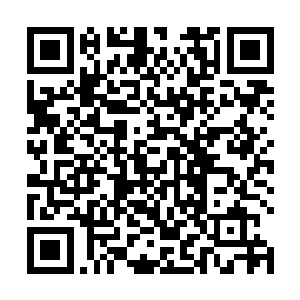 我们都是被浩浩荡荡的人类文明狂潮创造出来的新人类二维码生成