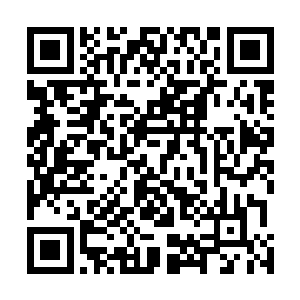 我们都知道哈特曼先生和斯蒂芬先生之间有着很深的矛盾二维码生成