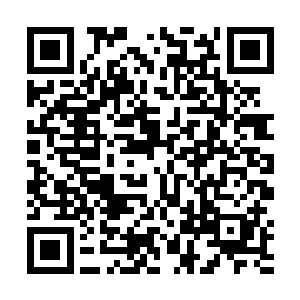 我们都等你大半天了――紫安今天在外面多晒了一会儿二维码生成