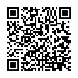 我们醉仙居的蛋糕屋将会在元宵节那天全面推出这种盆栽蛋糕二维码生成