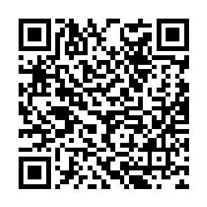 我们金氏哪能这么轻易拿到江陵县西南的这片土地二维码生成