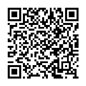 我们院长亲自前往京城耗费了好大的力气才请来二维码生成