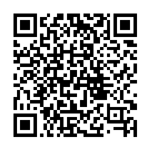 我们除了每天要提供鲜血给母体树和阁下这样的勇士二维码生成