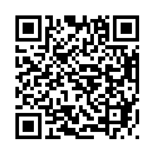 我们需要在乎区区一个文星龙爵吗二维码生成