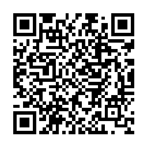 我们青丘一族将会利用一切可以动用的资源来培养你们二维码生成