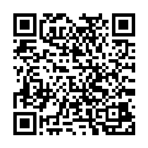 我们青丘一族是诚心希望各位能够入赘我青丘狐族二维码生成