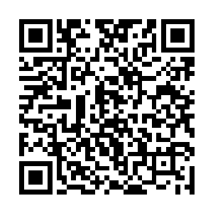 我们首相先生一共派出了整整一个营的廓尔喀山地兵二维码生成