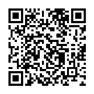 我们黑灵族女人带着人去了白灵之境夺取白灵珠去了二维码生成