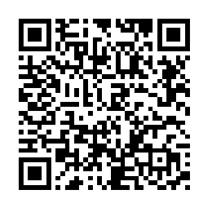 我会不会给你脑袋来上一枪然后自己尝试着逃走二维码生成