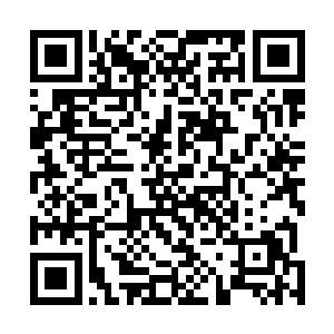 我会以安慰你受伤的心灵和激励你明年继续发起冲击为名二维码生成