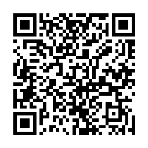 我会做什么……这些如果会被你猜到……那我还是疯不觉吗二维码生成