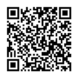 我会在整个北大荒种上各种各样非常愿意生长的植物二维码生成