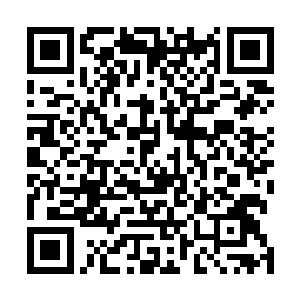 我会将一道领悟皇境的玄妙感悟传授给尚家一位后辈人物二维码生成