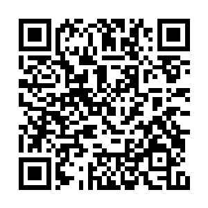 我会带着如梦和如幻还有那几个武功不错的人去二维码生成