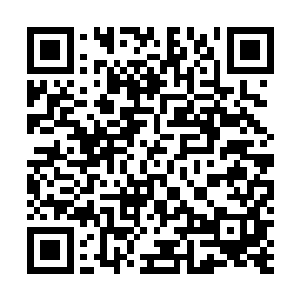 我会忍不住把你的芝士汉堡拿开――你已经吃了小半个了二维码生成